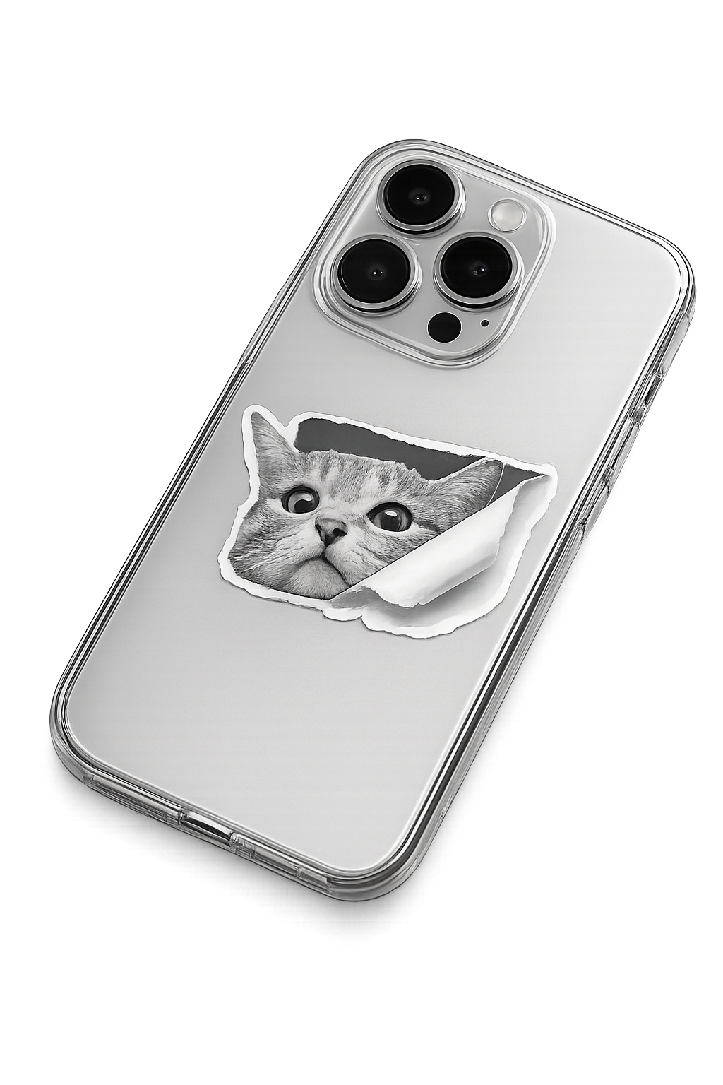 Стикер с котом на iPhone