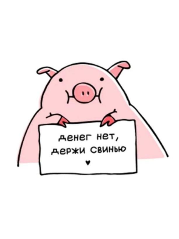 Забавный рисунок свиньи с надписью "денег нет, держи Свинью".