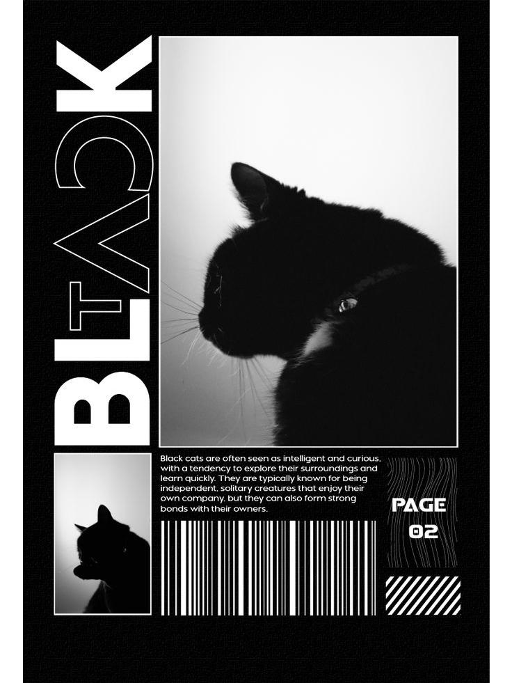 Элегантный черный кот, изображенный в монохромном стиле, с текстом "BLACK" и описанием его характера.