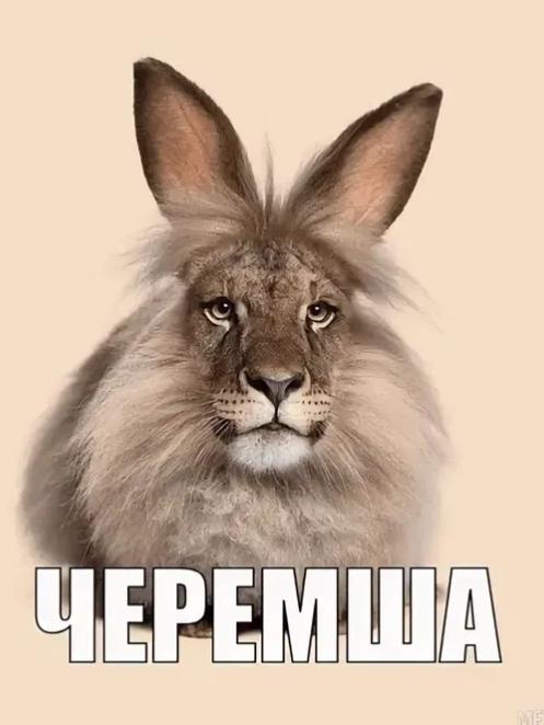 Забавный гибрид льва и кролика с надписью 'Черемша'.