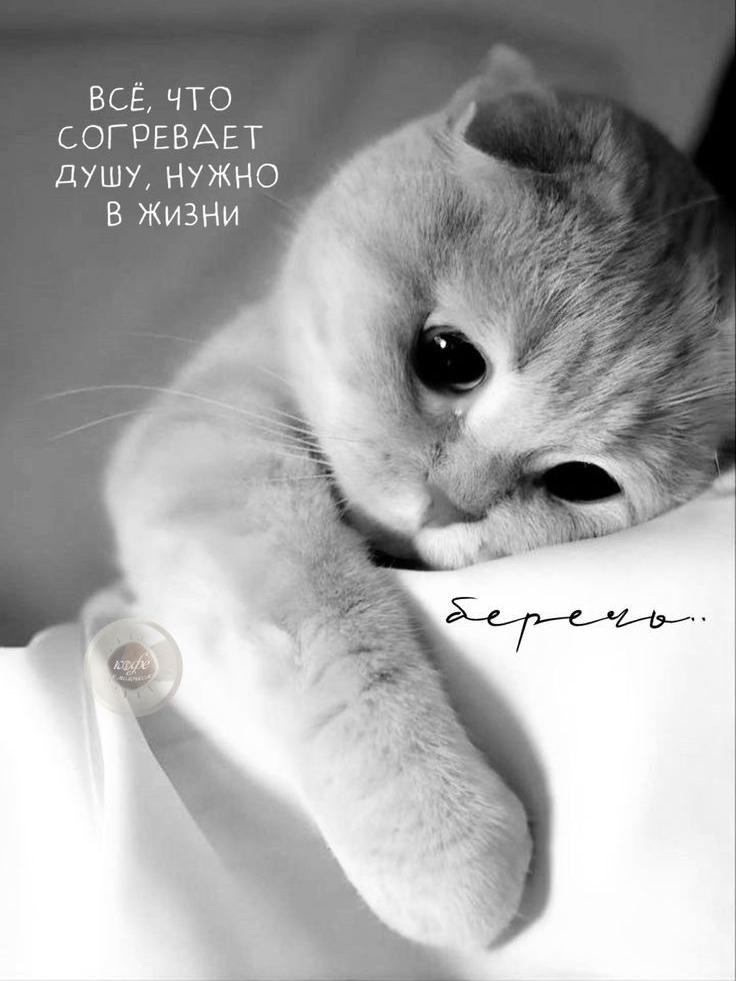 Всё, что согревает душу, нужно в жизни. Береги.