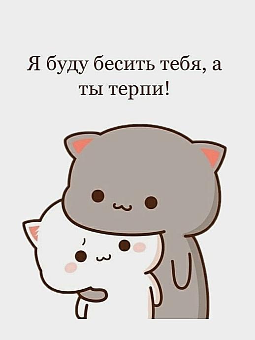 Я буду бесить тебя, а ты терпи! Милые котики в аниме-стиле с забавной надписью.