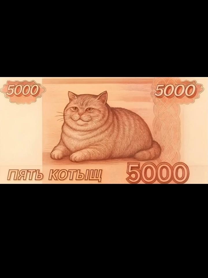 Забавный кот на пятитысячной купюре. "Пять котыщ"!