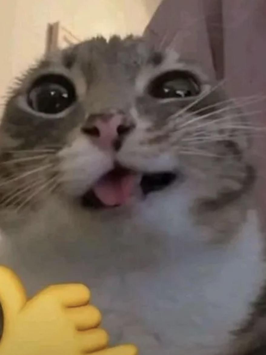 Забавный кот с эмодзи