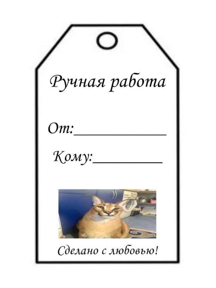 Бирка для подарка "Ручная работа" с изображением кота Floppa и надписью "Сделано с любовью!".