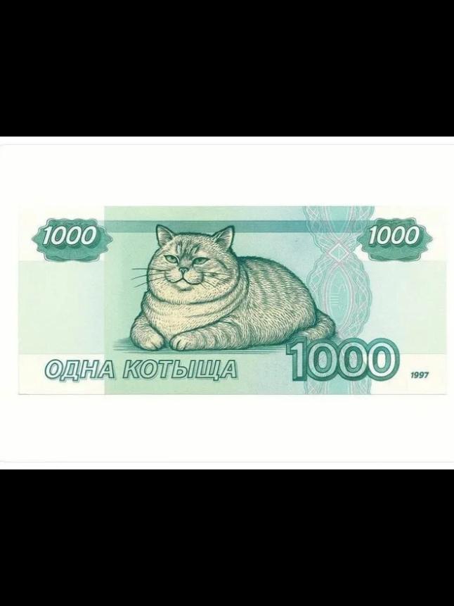 Шуточная банкнота с котом и надписью "Одна котыща".