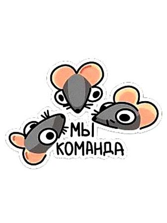 Три милые мышки с надписью "Мы команда"