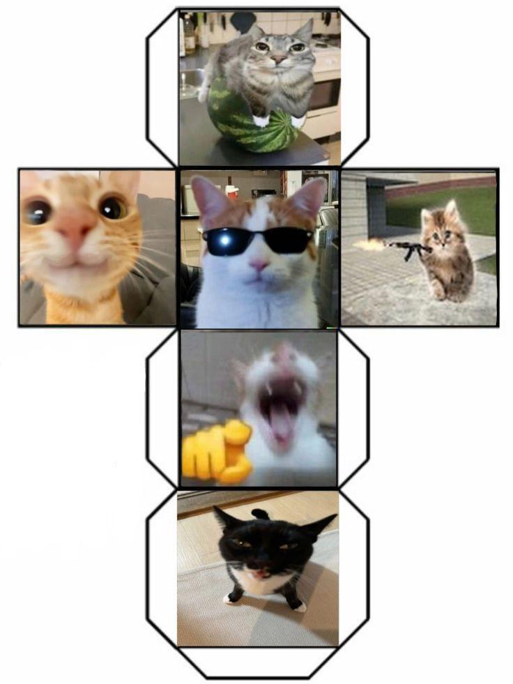 КОТИКИИИИ